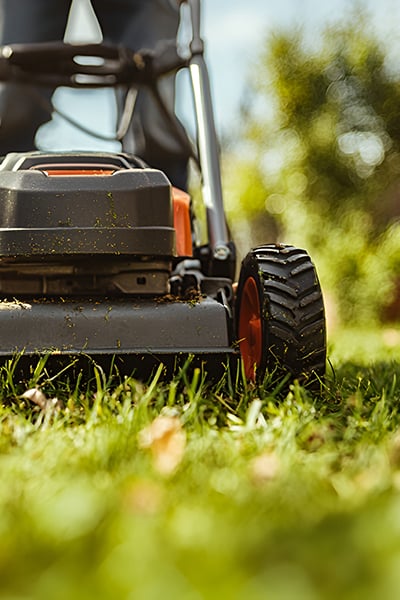 Landscaping Services in Deep Creek, VA