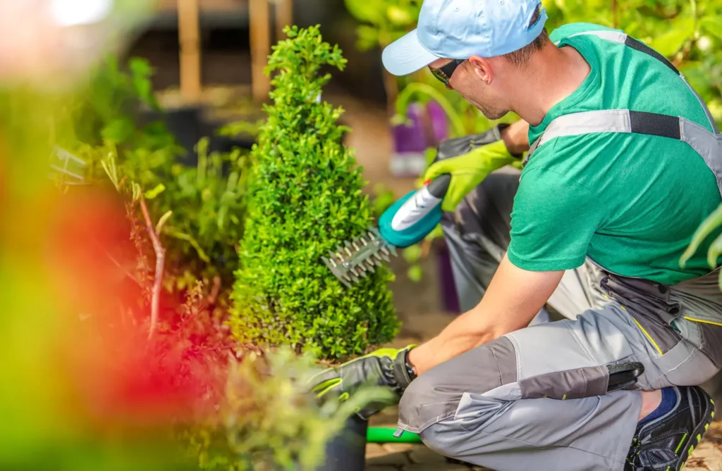 Landscaping Services in Poquoson, VA