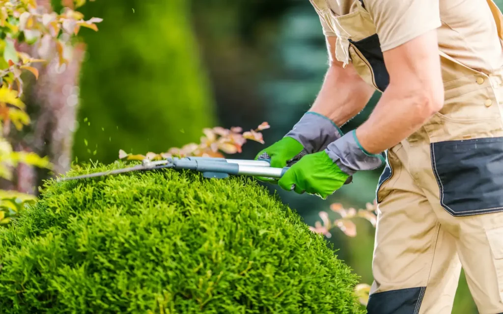 Landscaping Services in Indian River, VA
