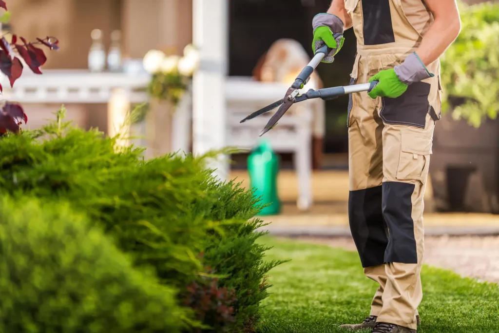Landscaping Services in Poquoson, VA