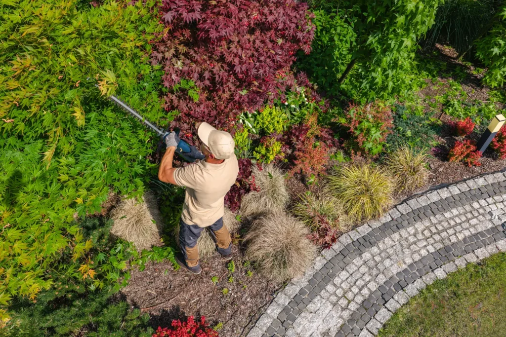 Landscaping Services in Poquoson, VA