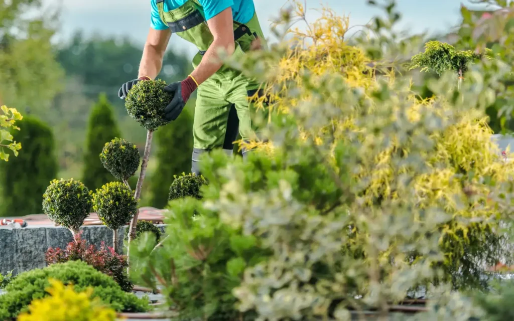 Landscaping Services in Indian River, VA