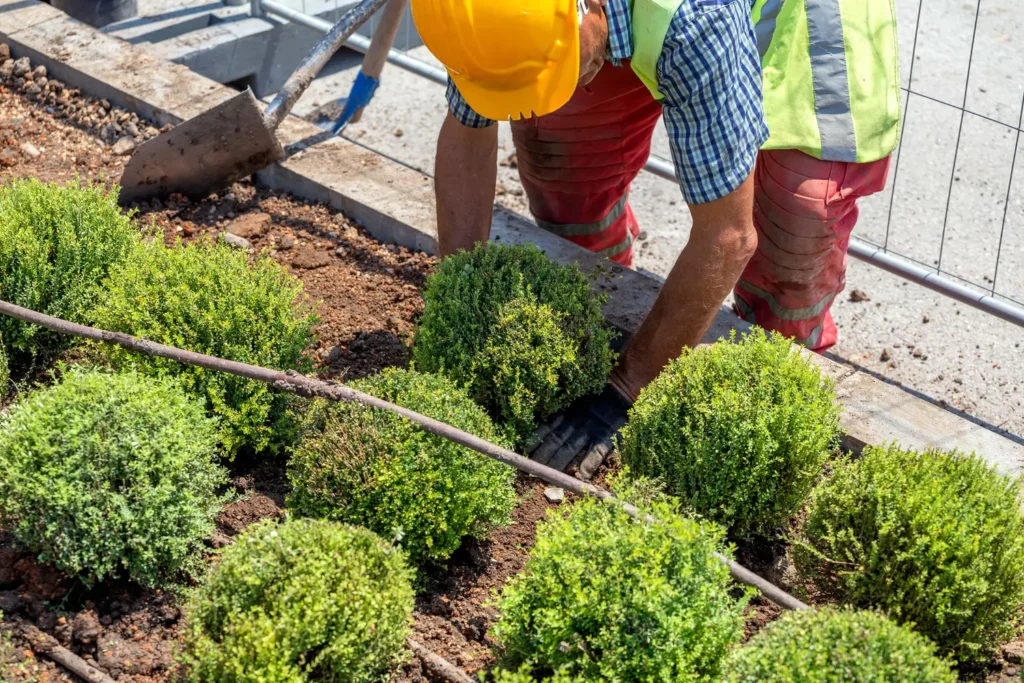 Landscaping Services in Deep Creek, VA