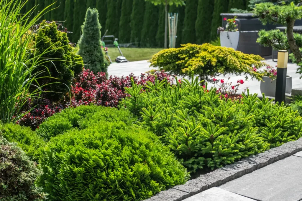 Landscaping Services in Virginia Beach, VA