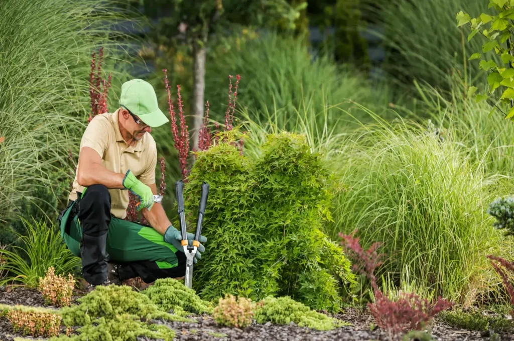 Landscaping Services in Virginia Beach, VA