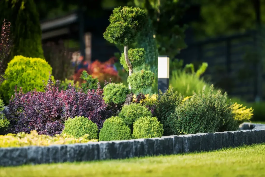 Landscaping Services in Virginia Beach, VA